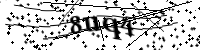 請輸入下列字母