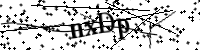 請輸入下列字母