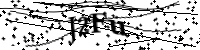 請輸入下列字母
