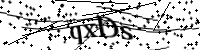 請輸入下列字母