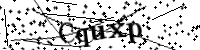 請輸入下列字母