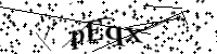 請輸入下列字母