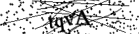 請輸入下列字母