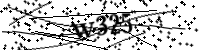 請輸入下列字母