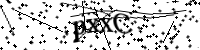 請輸入下列字母