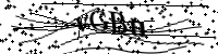 請輸入下列字母