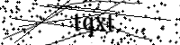 請輸入下列字母