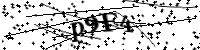 請輸入下列字母