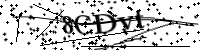請輸入下列字母