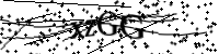 請輸入下列字母