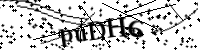 請輸入下列字母