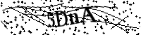 請輸入下列字母