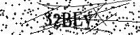 請輸入下列字母