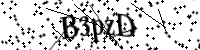 請輸入下列字母