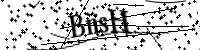 請輸入下列字母