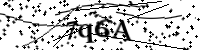 請輸入下列字母