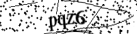 請輸入下列字母