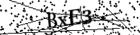 請輸入下列字母