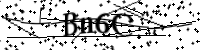 請輸入下列字母