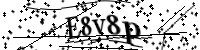 請輸入下列字母
