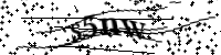 請輸入下列字母