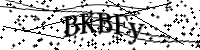 請輸入下列字母