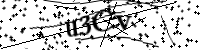 請輸入下列字母
