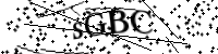 請輸入下列字母