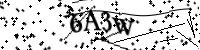 請輸入下列字母