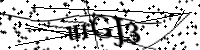 請輸入下列字母