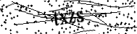 請輸入下列字母