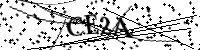 請輸入下列字母