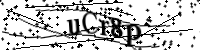 請輸入下列字母