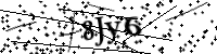 請輸入下列字母