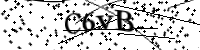 請輸入下列字母