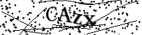 請輸入下列字母