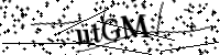 請輸入下列字母