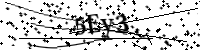 請輸入下列字母