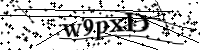 請輸入下列字母