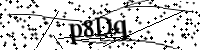 請輸入下列字母