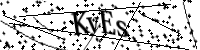 請輸入下列字母
