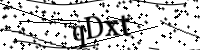 請輸入下列字母