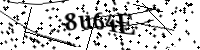 請輸入下列字母