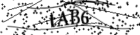 請輸入下列字母