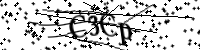 請輸入下列字母