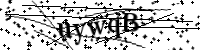 請輸入下列字母