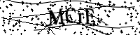 請輸入下列字母