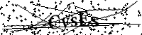 請輸入下列字母
