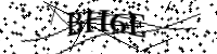 請輸入下列字母