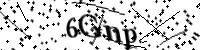 請輸入下列字母